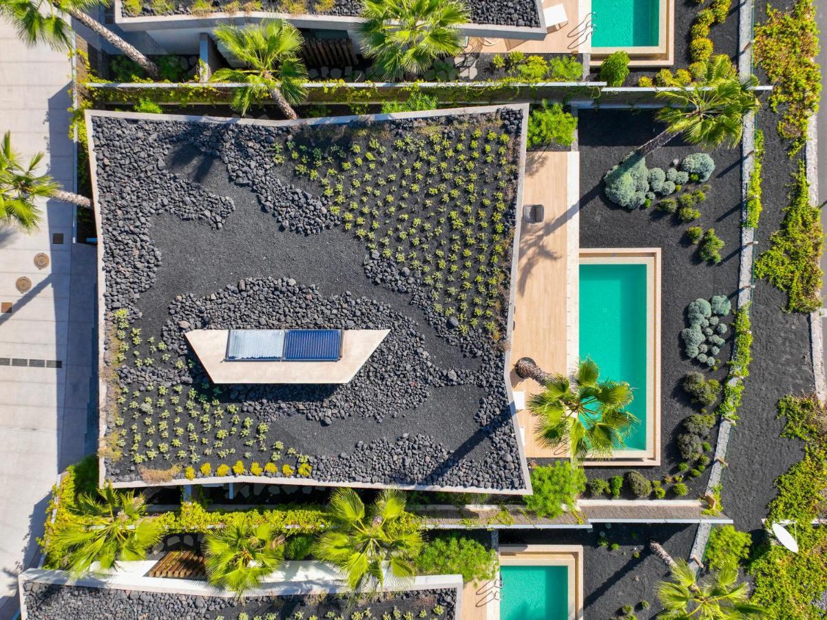 Los Jardines De Abama Suites Guía de Isora Exteriér fotografie